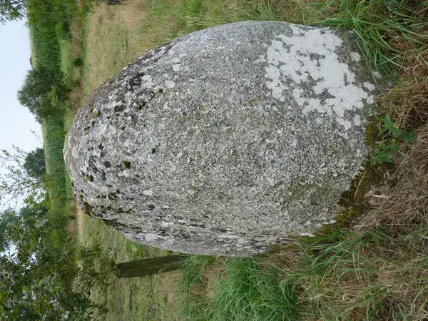 Borne de Recharge 22 Installateur borne de recharge Plaintel