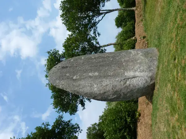 Borne de Recharge 22 Installateur borne de recharge Plésidy